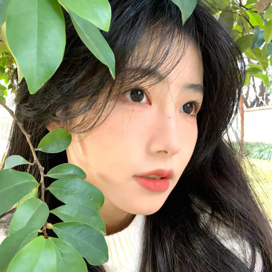 歌带你回家